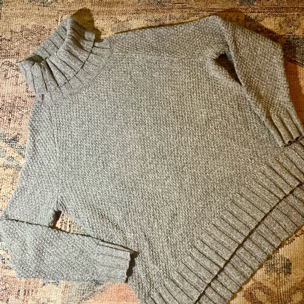 Patagonia Sweater